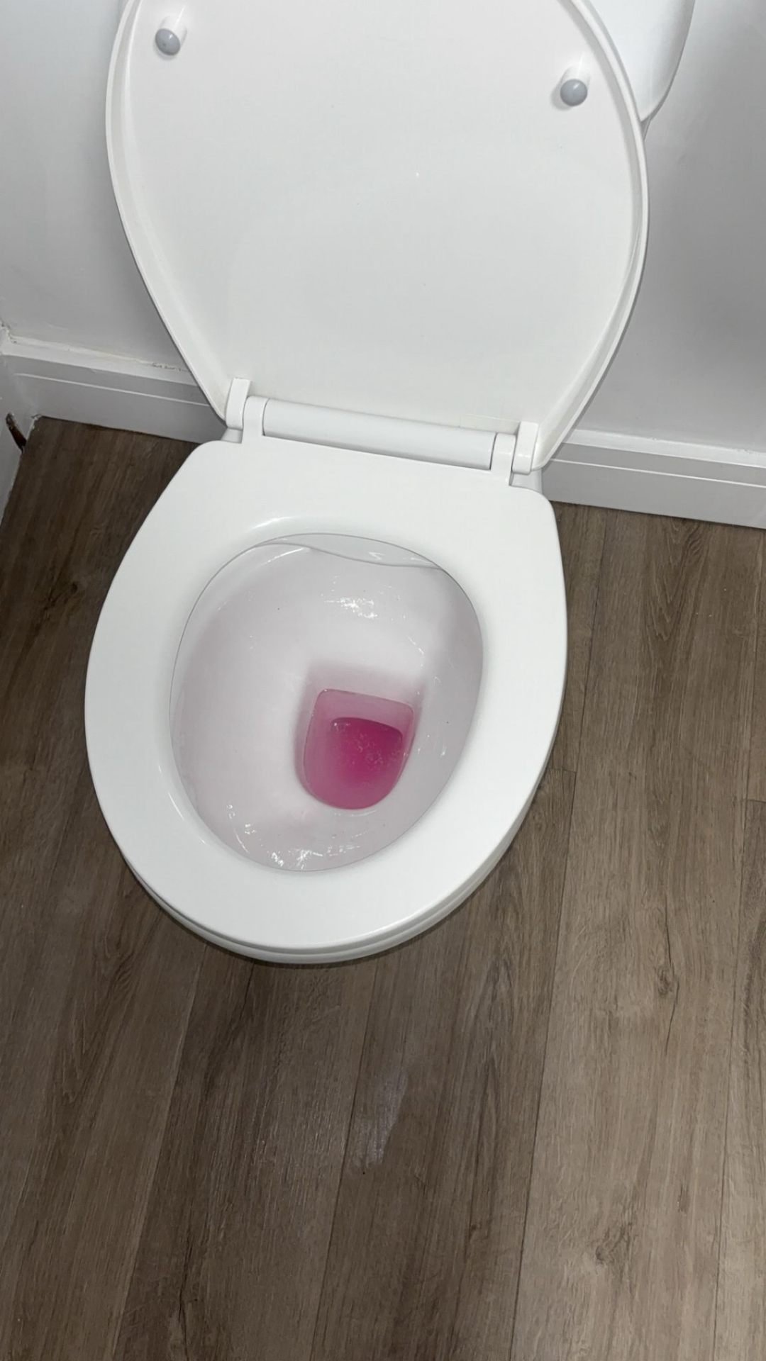WC — Sanitised & Fresh